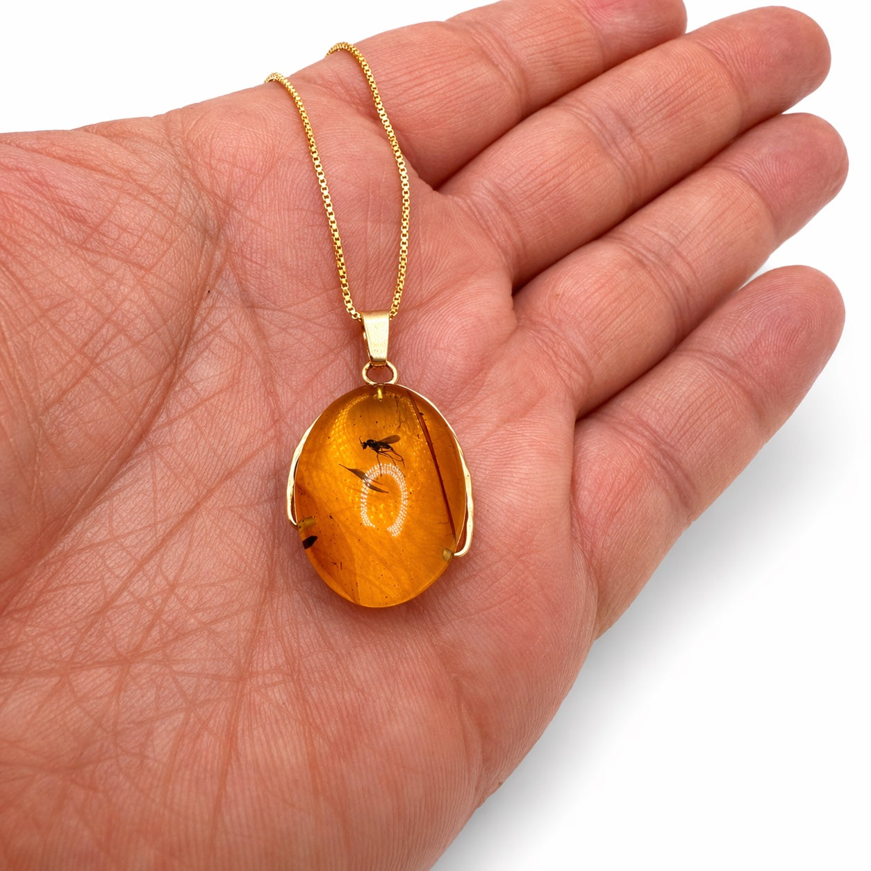 14K Gold Baltic Amber Pendant - Fly Inclusion Fossil Necklace Rare Natural Stone