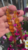 Genuine Baltic Amber Ombré Necklace – Lemon, Cognac & Cherry, Hand Cut in Lithuania